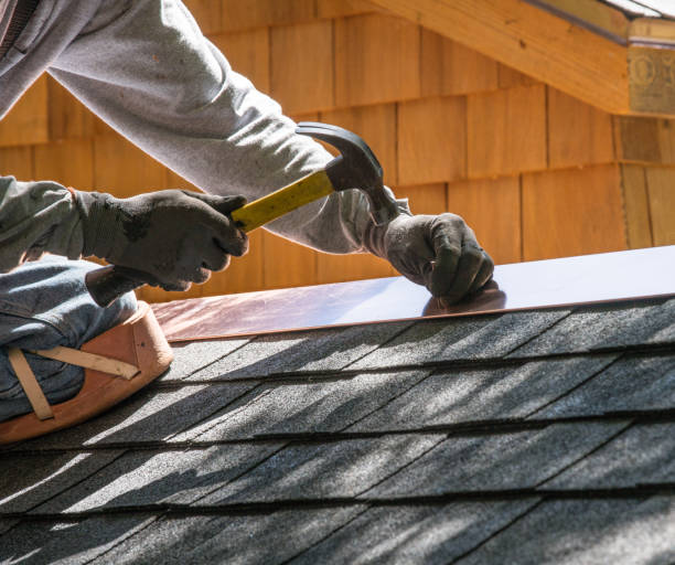 Best Roof Gutter Cleaning  in Waynesboro, PA